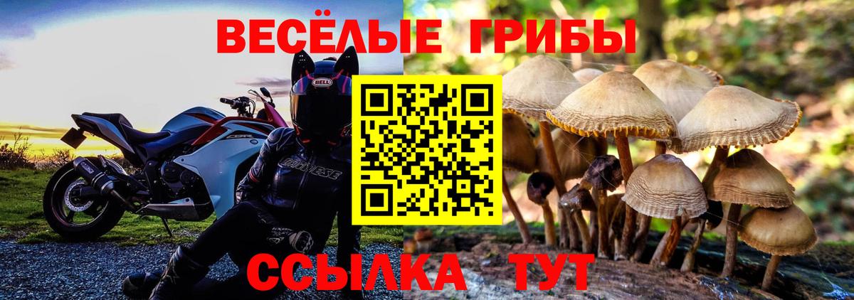 Псилоцибиновые грибы Magic Shrooms Астрахань