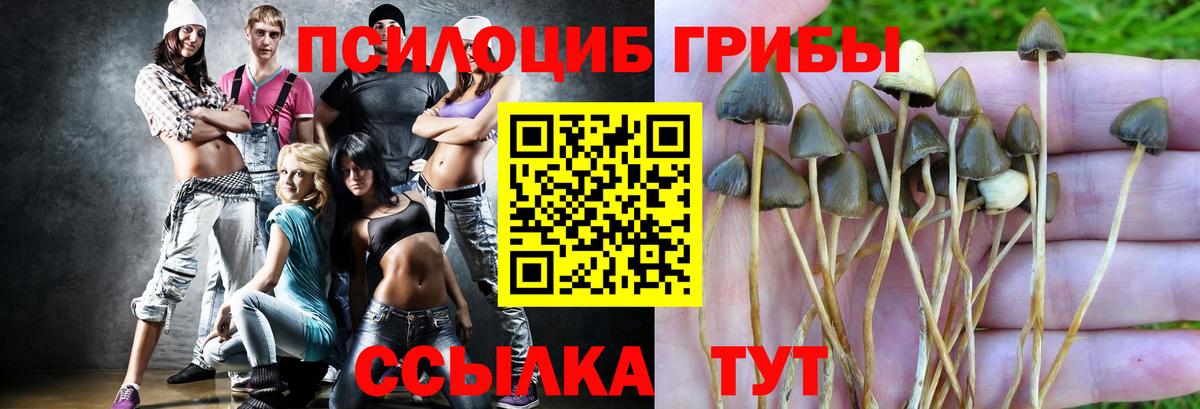 Псилоцибиновые грибы MAGIC MUSHROOMS  Вход с VPN  Астрахань 